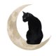 thumbnail image 5 of Gato De Hierro En La Ventana De Regalo De La Luna Colgando Rústico Para Baño Interior 30 Cm, 5 of 5