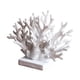 thumbnail image 5 of Centro De Mesa Costero Con Decoración De Coral Decoración Para El Hogar Estante Escritorio Dormitorio Blanco, 5 of 5