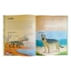 thumbnail image 2 of Libro Descubramos La Evolucion De Los Animales T/dura Lexus, 2 of 4