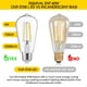 thumbnail image 4 of Bombillas LED Gozelux Vintage Edison de 6 W, 4000 K, E26, regulables, paquete de 6, 4 of 7