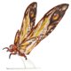 thumbnail image 3 of Figura coleccionable de Mothra MonsterVerse de 28 cm, juguete de película, 3 of 4