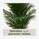 thumbnail image 5 of Planta Artificial Palmera Areca Alta 180 cm, 5 of 8
