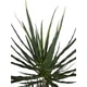 thumbnail image 3 of Árbol Yucca 183cm Artificial, 3 of 3