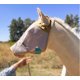 thumbnail image 1 of Mascara antimoscas para caballo The Sunny Zebra estándar con cubrenariz y protección UV 70%, 1 of 9