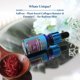 thumbnail image 2 of Aceite facial Blue Nectar Saffron & Manjish Kumkumadi 30 ml, 2 of 5