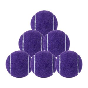 Ioensy - 6Pcs Bolas De Tenis Para El Entrenamiento Para Principiantes Para Racquet Sports Beginners Outdoor Purple