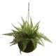 thumbnail image 2 of Helecho de cuero artificial con cesta colgante cubierta de musgo, casi natural, 2 of 5