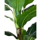 thumbnail image 2 of Planta Artificial Banano 190 cm. Premium., 2 of 3