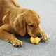 thumbnail image 2 of Juguete masticable para perros Tikaton, de nailon duradero, para masticadores agresivos, 2 of 7