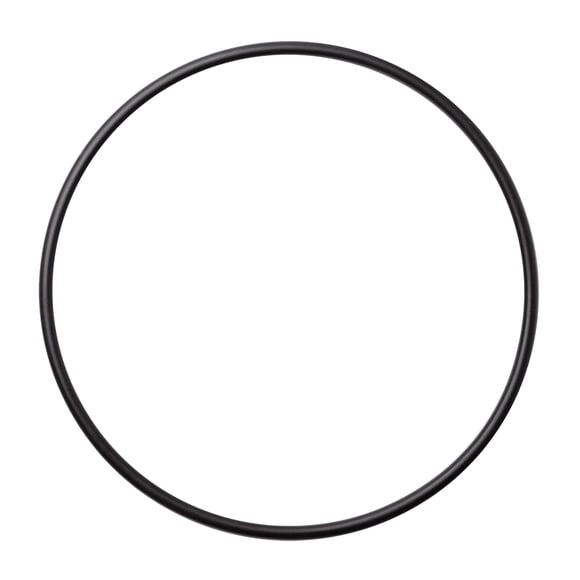A. O. Smith AO-WH-LG-OR - Junta tórica para filtro de agua para toda la casa, 5,48 pulgadas (14 cm) de diámetro, compatible con la mayoría de carcasas para filtros de 4,5 pulgadas
