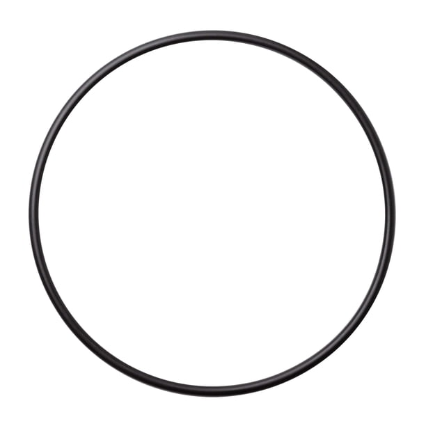 A. O. Smith AO-WH-LG-OR - Junta tórica para filtro de agua para toda la casa, 5,48 pulgadas (14 cm) de diámetro, compatible con la mayoría de carcasas para filtros de 4,5 pulgadas