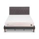 thumbnail image 1 of Cama Europea Curve Cocopedic King Respaldo Kavery, 1 of 14