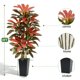 thumbnail image 2 of Árbol Artificial FSOHOI 183 cm Dracaena Roja para Interiores, 2 of 9