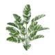 thumbnail image 3 of Grandes Plantas Falsas Exteriores Hoja De Plátano Simulada Para Baño Chimenea De Playa 18 Cabezas Estilo H, 3 of 5