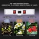 thumbnail image 3 of Luces LED de cultivo KINGPLUS KP3000 de espectro completo de 4 x 4 pies, 3 of 6