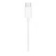 thumbnail image 4 of Earpods Conexion USB-C Apple, 4 of 5