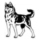 thumbnail image 1 of Decomural Siberian Husky Dog WS-34727, 1 of 2