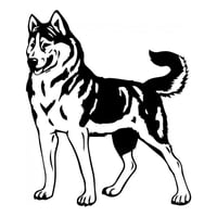 Rienda Libre Graphics - Decomural Siberian Husky Dog Ws-34727
