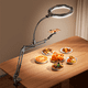 thumbnail image 5 of Kit Soporte Ajustable Profesional Con Aro De Luz Para Celular, 5 of 6