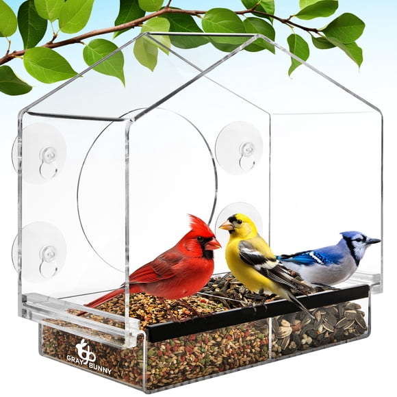 Comedero para Pájaros de Ventana Gray Bunny con Ventosas de Acrílico