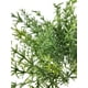 thumbnail image 3 of Planta Decorativa Romero 36cm Artificial, 3 of 3
