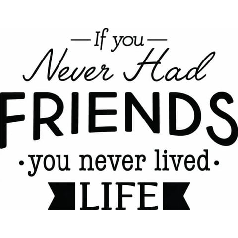 Rienda Libre Graphics - Decomural Never Had Friends Friendship Ws-46225