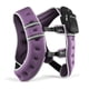 thumbnail image 1 of Chaleco con peso CAP de 9 kg para mujer y hombre, reflectante, 20 lb, morado, 1 of 9