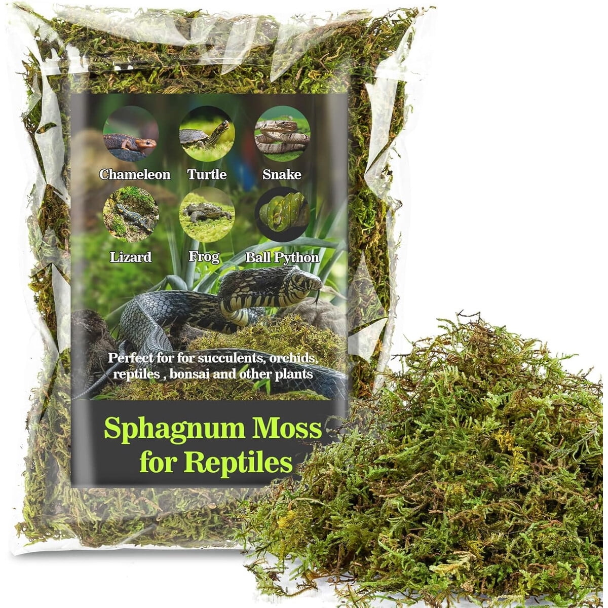 Musgo Sphagnum HRe para Reptiles, Retención de Humedad para Terrario