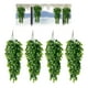 thumbnail image 1 of 4pcs Planta Colgante Artificiales Hojas Redonda De Eucalipto 75cm Verde, 1 of 6
