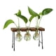 thumbnail image 3 of Florero Hidropónico Florero De Vidrio Florero Moderno Para El Hogar Sala De Estar Tres Botellas, 3 of 5