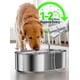 thumbnail image 4 of Fuente de agua para perros ECOCONUT 13L de acero inoxidable para perros grandes, 4 of 6