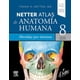 thumbnail image 3 of Atlas de anatomía humana 8ed. Abordaje por sistemas, 3 of 3