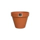 thumbnail image 1 of Macetero Kony Terracota 11 cm, 1 of 6
