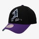 thumbnail image 1 of Jockey Gorro Mitchell And Ness Highlights Real Raptors Vince Carter, 1 of 4