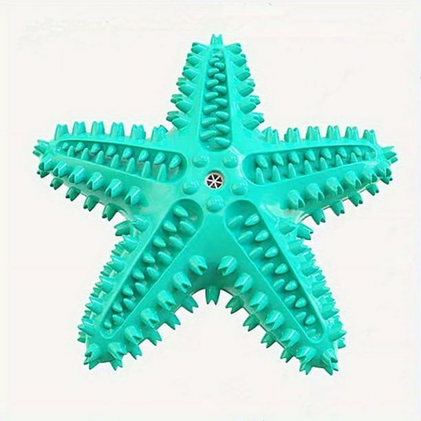Pet Supplies Pet Dog Starfish Molar Stick Squeaky Toothbrush Dog Stone Removal Toothbrush Tough Dog Toys For Aggressive Chewers