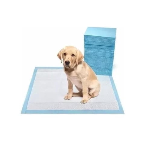 Genérico - Pack 20 Sabanillas Pañales 60X90Cm De Entrenamiento Aroma