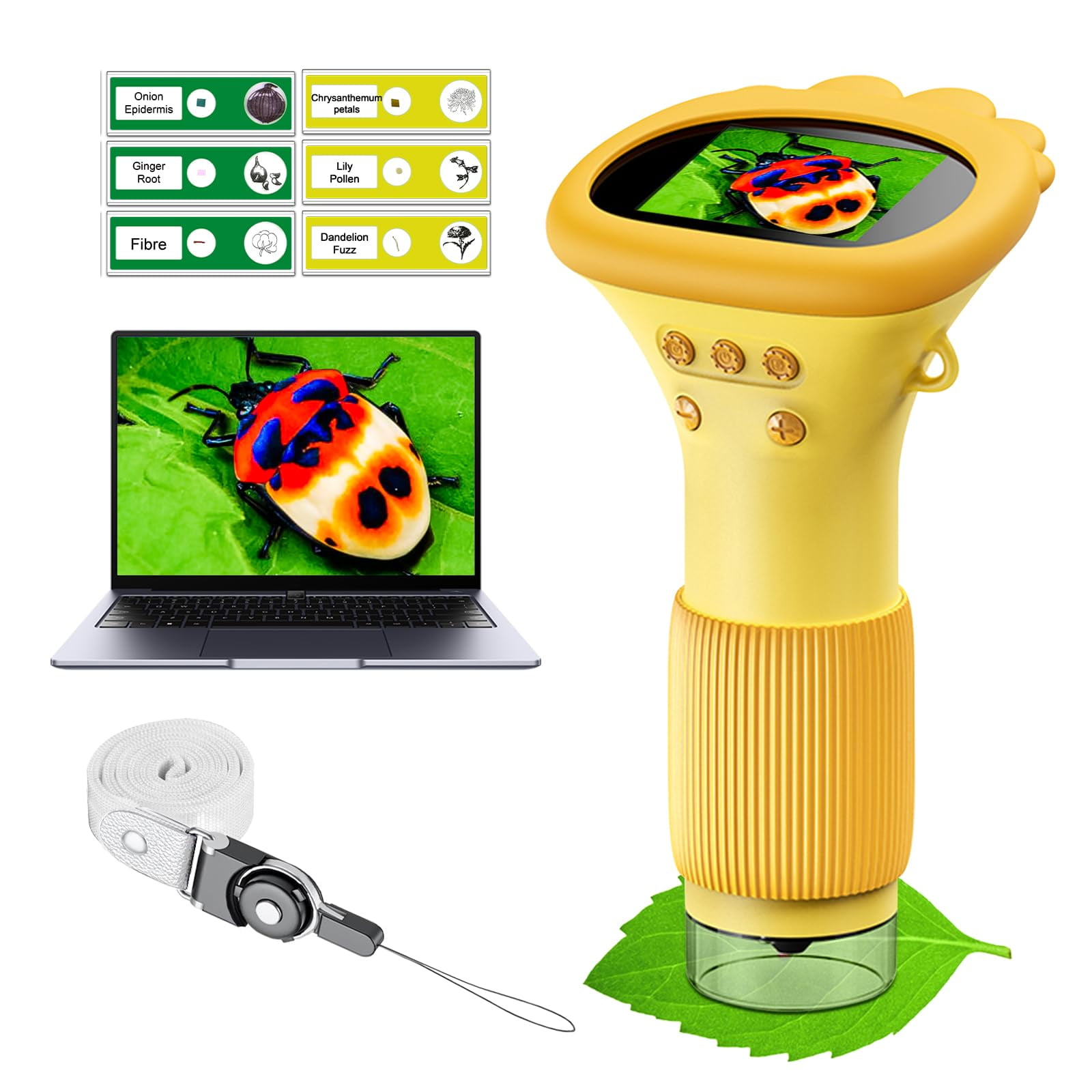 Microscopio Winwend Kids Pocket 1000x Con Modos De Foto Y Vídeo