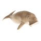 thumbnail image 1 of Manatí Realista Dugong Ocean Animal Modelo Estatuilla Ni?os Juguete Decoración Del Hogar, 1 of 5