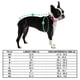 thumbnail image 4 of Gfpet Parka Super Puff Perro Color Rosa, Talla Large, 4 of 4