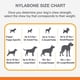 thumbnail image 5 of Juguete masticable Nylabone Moderate Chew FlexiChew Bone para perros, 5 of 9