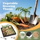 thumbnail image 3 of Zen Dreamon De Arena Para Escritorio 56 Piezas Vegetales, 3 of 3