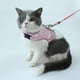 thumbnail image 2 of Arnes Wonder Cat Con Correa Para Gato Medium, 2 of 3