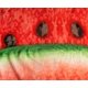 thumbnail image 2 of Manta de forro polar redonda Toynk Watermelon Slice de 150 cm, 2 of 7