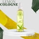 thumbnail image 4 of Loción para después de afeitar en spray Totex Limón 200 ml, 4 of 8