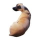 thumbnail image 1 of Juguete De Peluche De Animales De Peluche De Almohada De Felpa De Perro De Simulación 3D Para Sofá De Coche De Oficina, 1 of 5