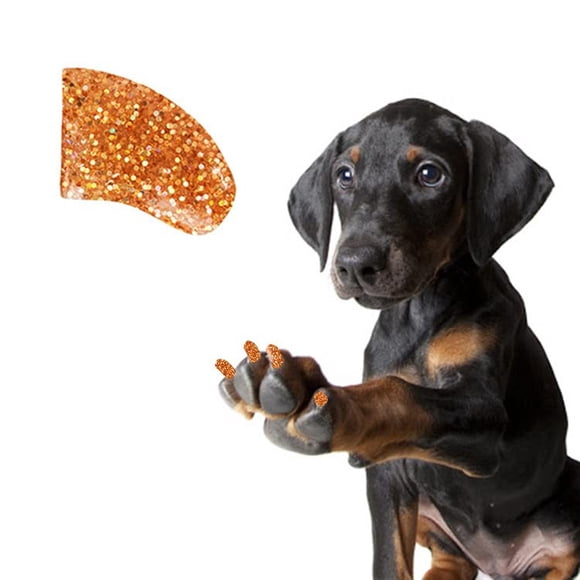 Gorros de uñas para perros Pretty Claws Treasure Gold Glitter, tamaño grande, 60 unidades