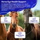 thumbnail image 4 of Ha4e Ayuda A La Salud Ocular De Los Caballos Mantiene Los Niveles Normales De Minerales Para Una, 4 of 8