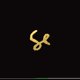thumbnail image 1 of ABIS_MUSIC Zach Top Sylvan Esso – Edición 10 Años, 1 of 1