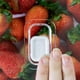 thumbnail image 3 of Organizador de Refrigerador Clear Fresh Con Tapa 30 x 15 x 7 cm, 3 of 3