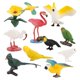 thumbnail image 5 of Modelo De Mini Pájaro Para Ni?os, Decoración De Loro Y Colibrí, Modelo De Mundo Sólido Para Ni?os, 5 of 5